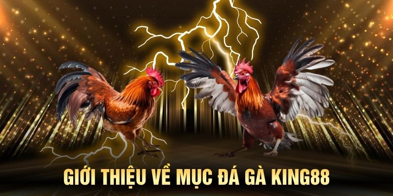 Đá gà KING88 đem tới cảm xúc thăng hoa cho người xem