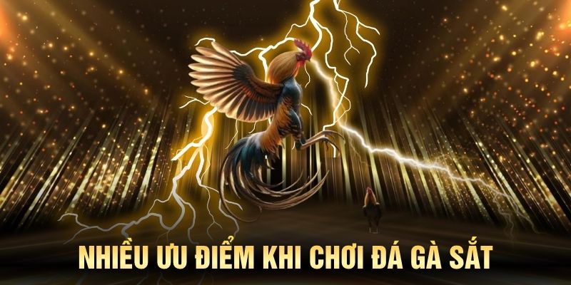 Nhiều ưu điểm khi chơi đá gà sắt hấp dẫn tại KING88