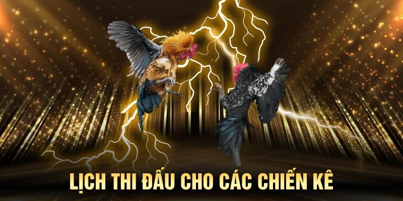 Lịch cược dày đặc không lo thiếu kèo cho kê thủ ở KING88