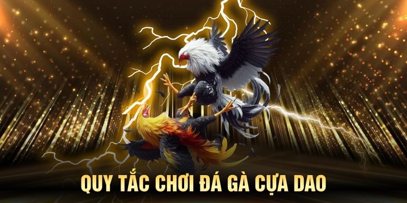 Hiểu rõ quy tắc đá gà cựa dao cần thiết