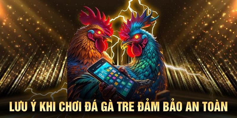 Lưu ý khi chơi đá gà tre đảm bảo an toàn