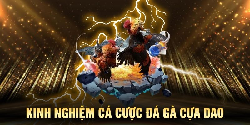 Kinh nghiệm chơi đá gà cựa dao hiệu quả