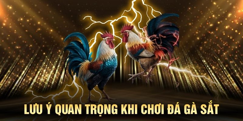 Lưu ý quan trọng khi chơi đá gà sắt tại đây