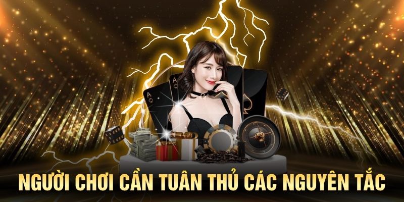 Chơi có trách nhiệm đòi hỏi người chơi tuân thủ các nguyên tắc