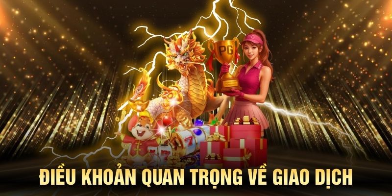 Điều kiện điều khoản quan trọng về giao dịch ngân sách